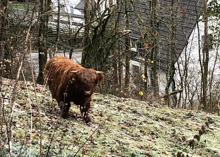 Ferienwohnung Koelbel Familienurlaub In Der Natur